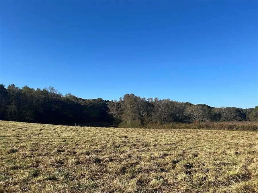 0 Old Columbus Road, Bowdon, GA 30108 - #3