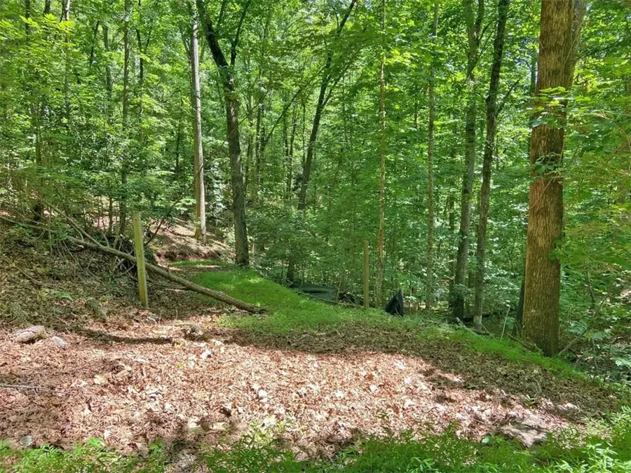 2.4AC Old River Road, Dahlonega, GA 30533 - #3
