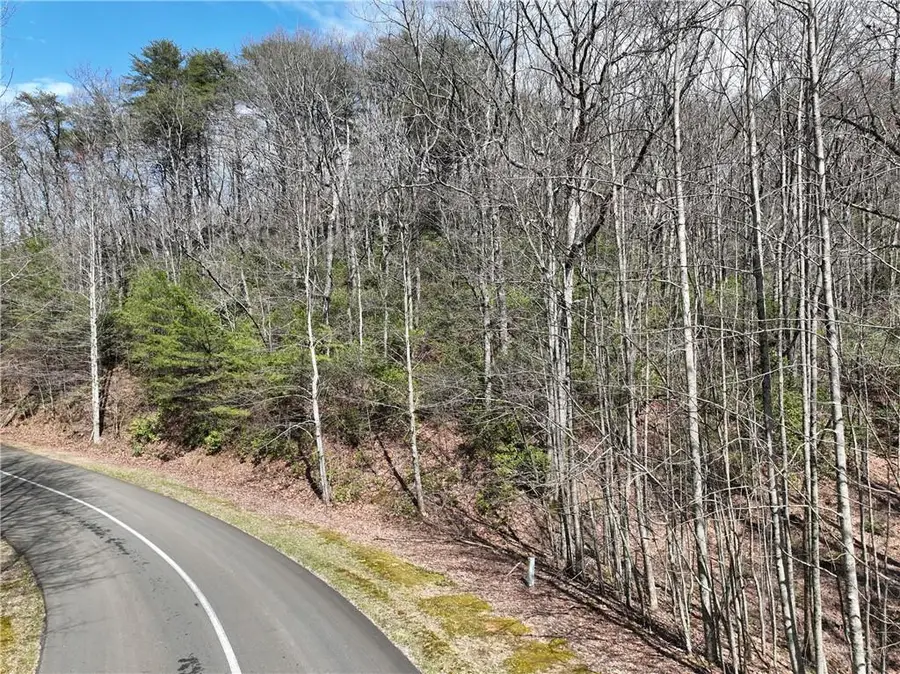 63 St Andrews Way, Ellijay, GA 30536 - #2