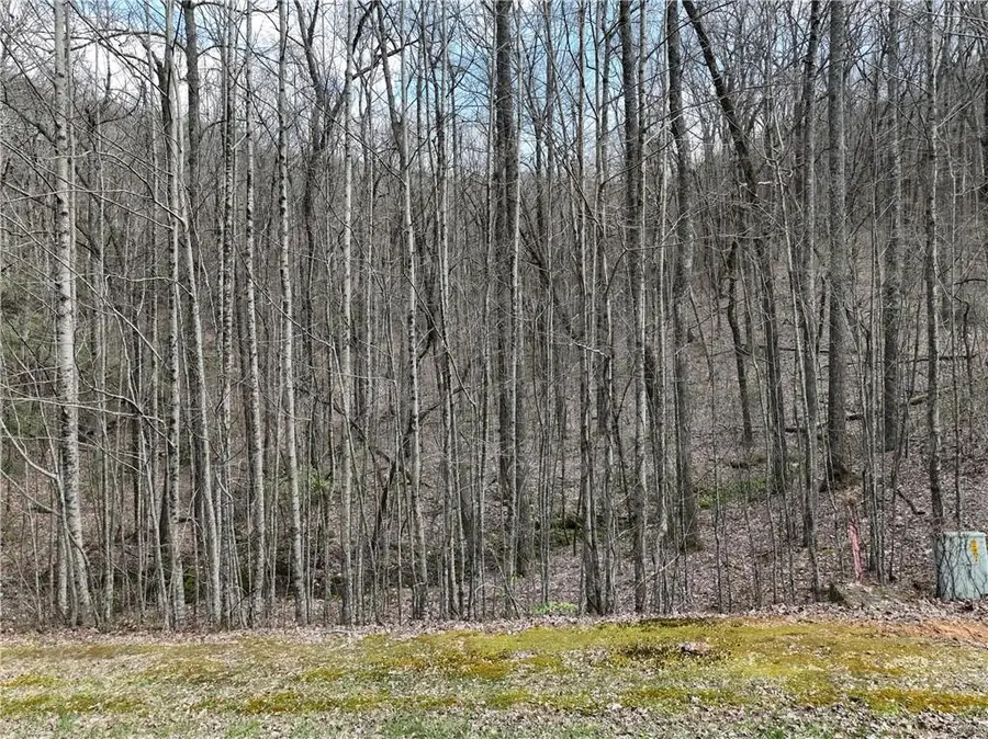 64 St Andrews Way, Ellijay, GA 30536 - #2