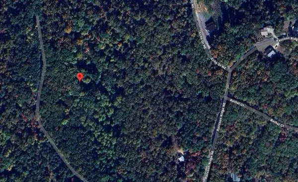 1009 N Cut Drive, Ranger, GA 30734