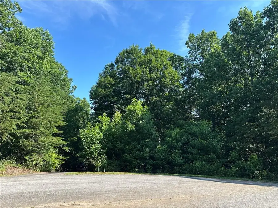 5 Lots Clearview Drive, Cleveland, GA 30528 - #2