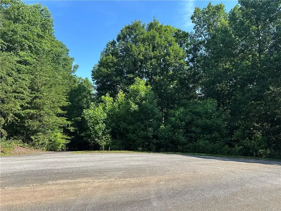 5 Lots Clearview Drive, Cleveland, GA 30528 - #3