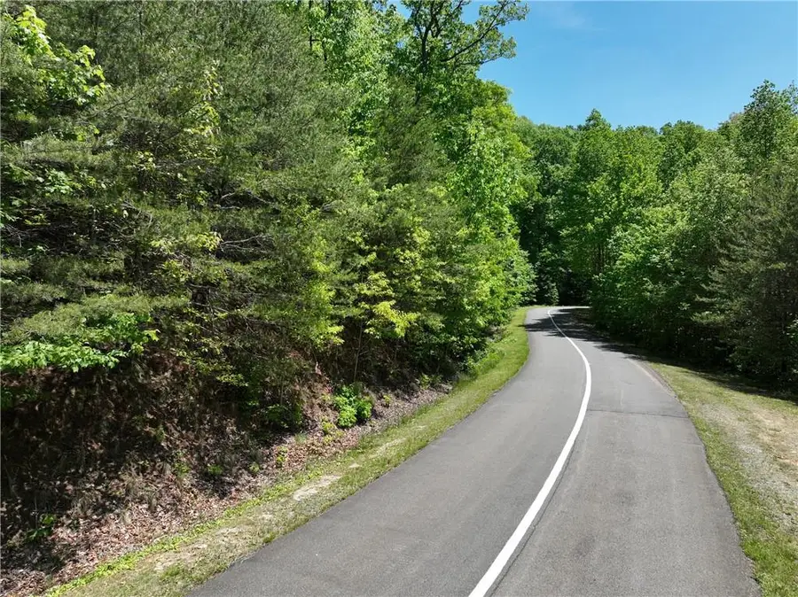 59 St Andrews Way, Ellijay, GA 30536 - #2