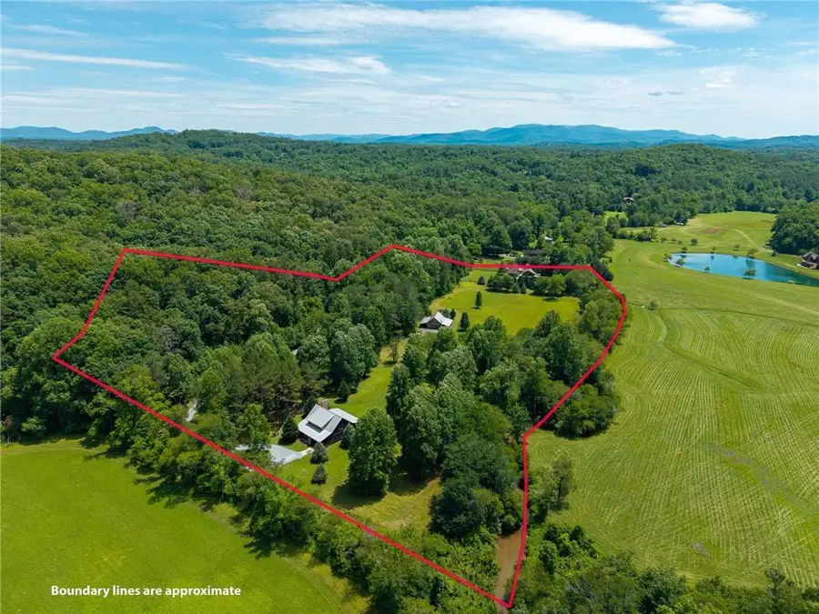 965 Bell Road, Mineral Bluff, GA 30559 - #3