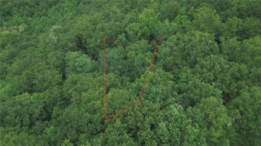 Lot 14 Oceola Drive, Ellijay, GA 30540 - #3