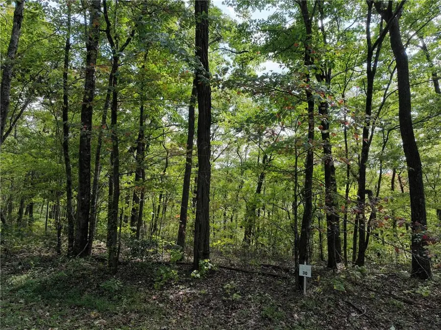 30 Andes Ridge, Jasper, GA 30143 - #2