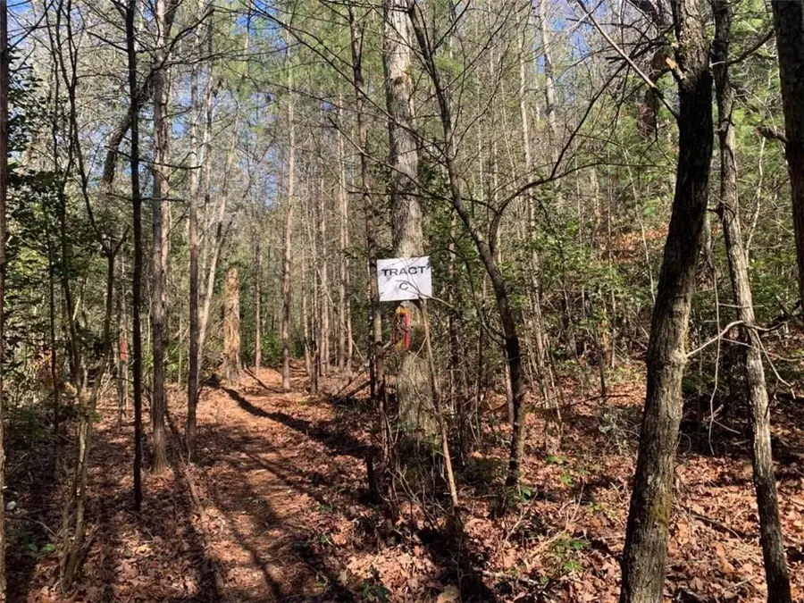 0 East New Hope Road, Ellijay, GA 30536 - #3