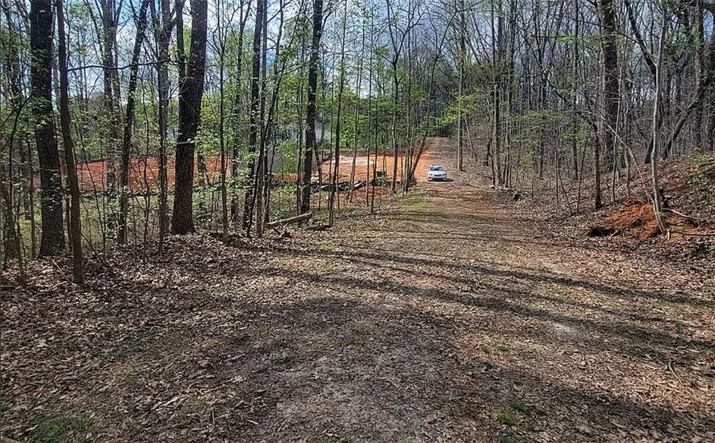 4230 Belvedere Drive, Gainesville, GA 30506 - #1