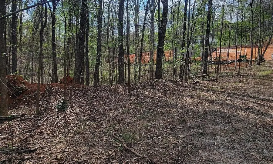4234 Belvedere Drive, Gainesville, GA 30506 - #3