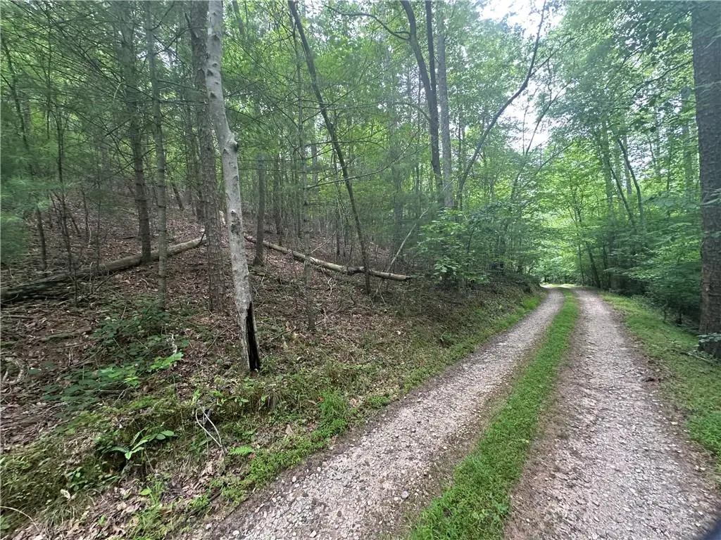TRACT1 New Bethel Ch Road, Dawsonville, GA 30534 - #1