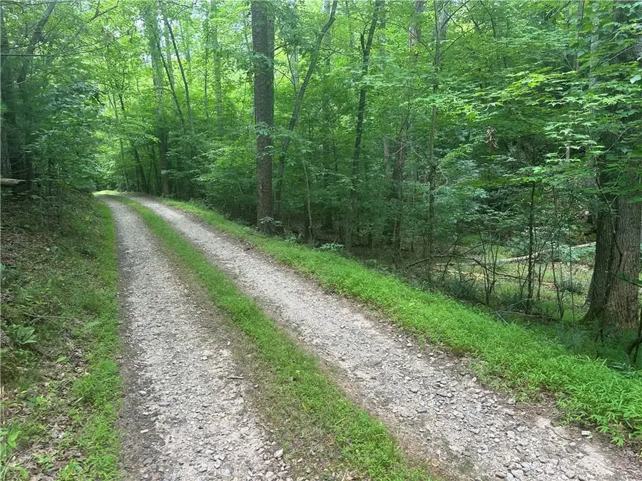 TRACT1 New Bethel Ch Road, Dawsonville, GA 30534 - #2