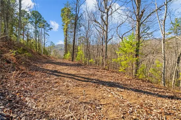 000 Deerfield Lane, Calhoun, GA 30701