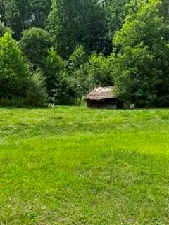 1395 Smith Road, Martin, GA 30557 - #3