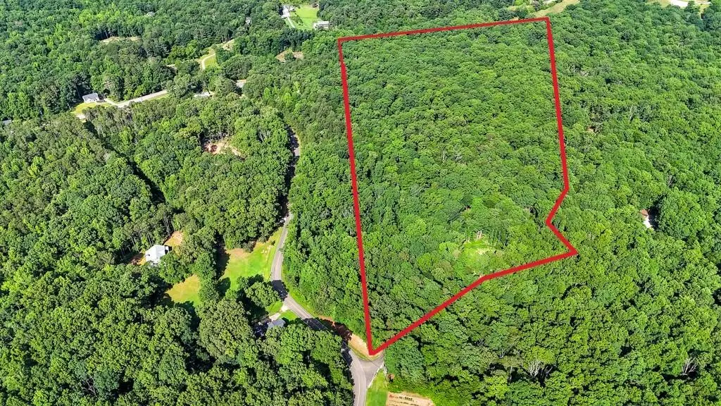 173 Hogan Pond Lane, Ball Ground, GA 30107 - #1