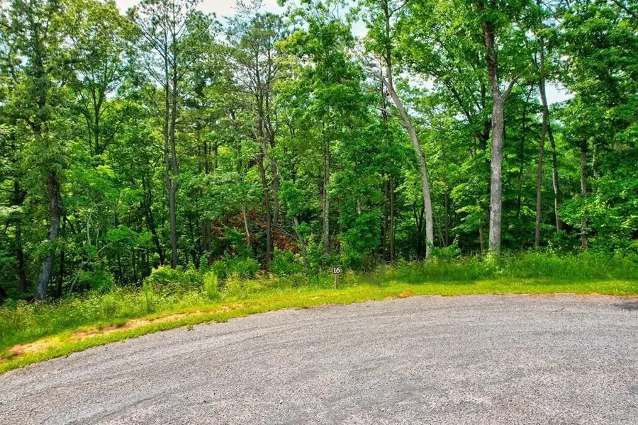 LOT 16 Lake Top Lane, Ellijay, GA 30540 - #3