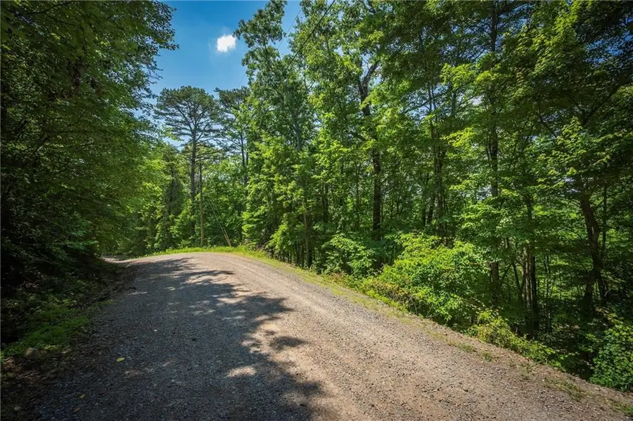 3.54AC Myna Drive, Ellijay, GA 30540 - #2