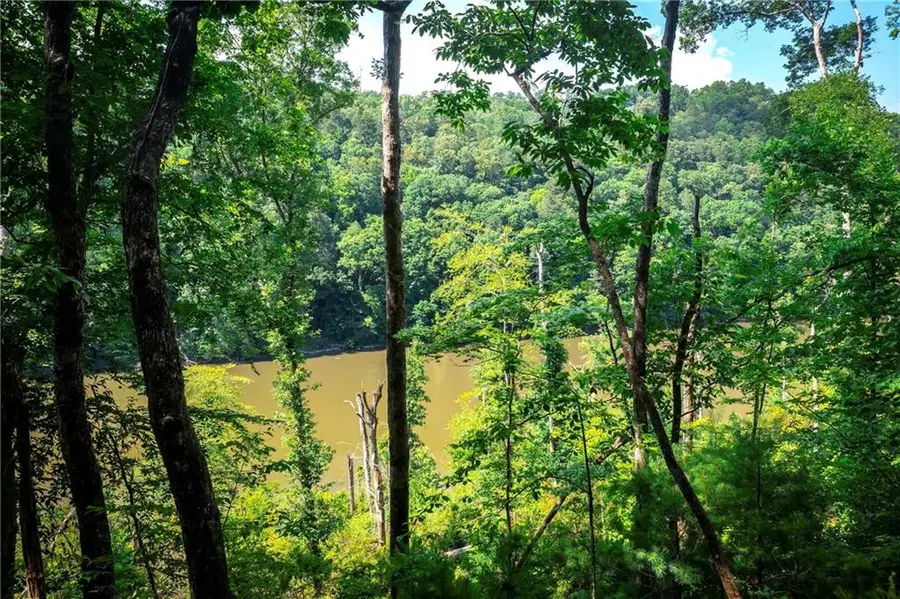 3.54AC Myna Drive, Ellijay, GA 30540 - #3