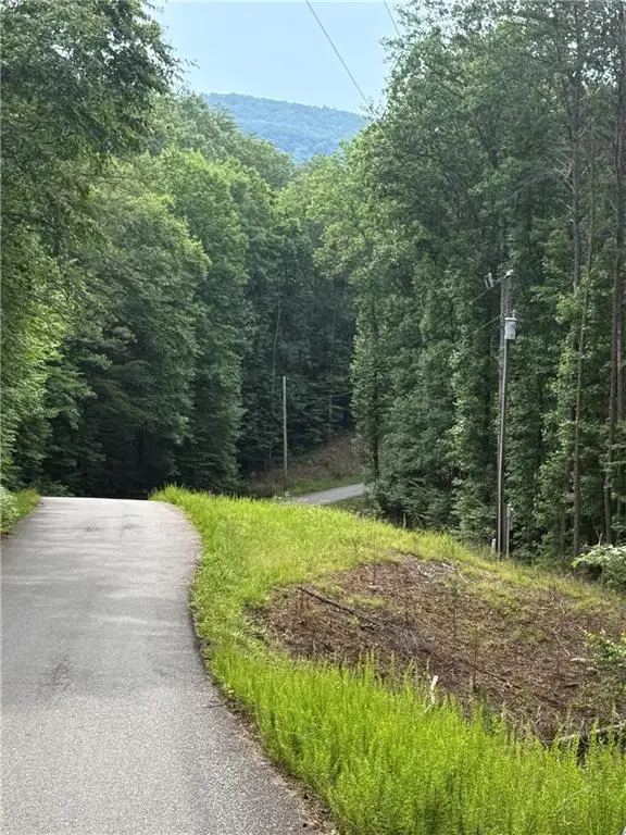 00 Clayton Gooch Road, Dahlonega, GA 30533 - #1