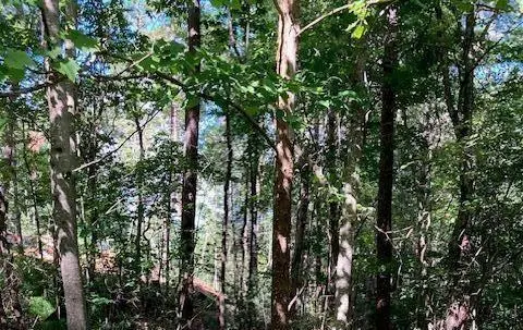 0 Red Oak Trail, Ellijay, GA 30540