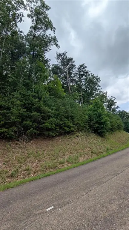 232 Stone Cliff Drive, Ellijay, GA 30536 - #2