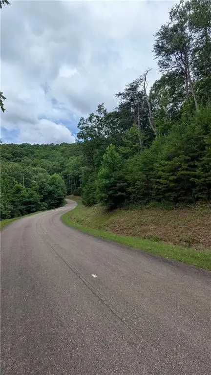 232 Stone Cliff Drive, Ellijay, GA 30536 - #3
