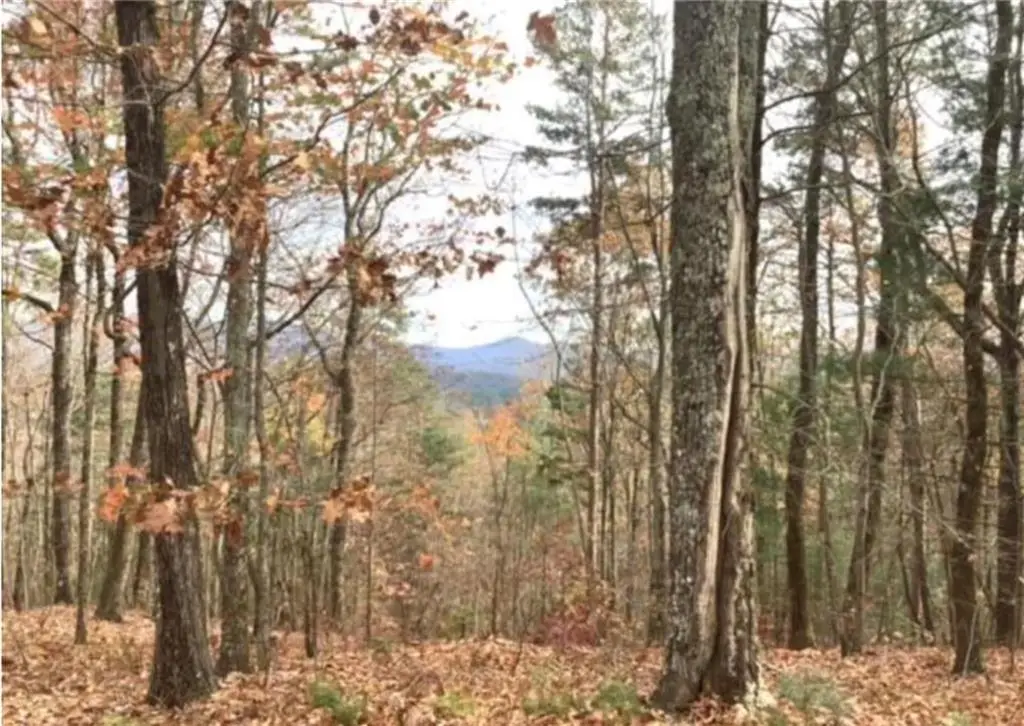 Lot 17 Abbott Mill, Ellijay, GA 30540 - #1