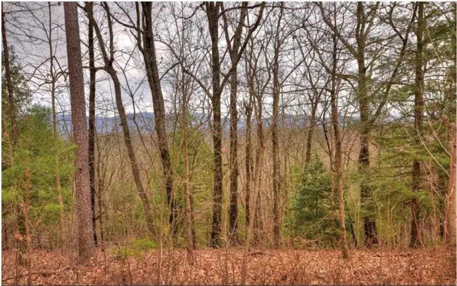 Lot 17 Abbott Mill, Ellijay, GA 30540 - #2