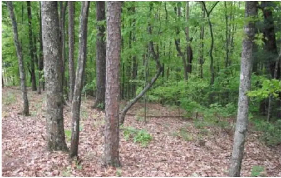 Lot 17 Abbott Mill, Ellijay, GA 30540 - #3