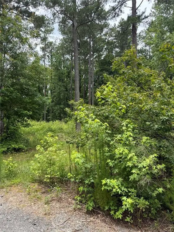 1930 Locust Grove Road, Griffin, GA 30223 - #2