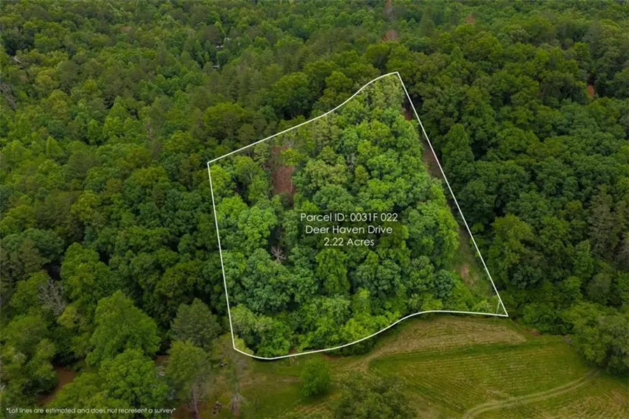 9 Deer Haven Drive, Morganton, GA 30560 - #2
