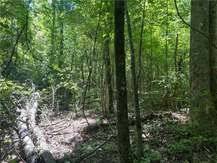 0 Fortner Road, Ball Ground, GA 30107 - #3