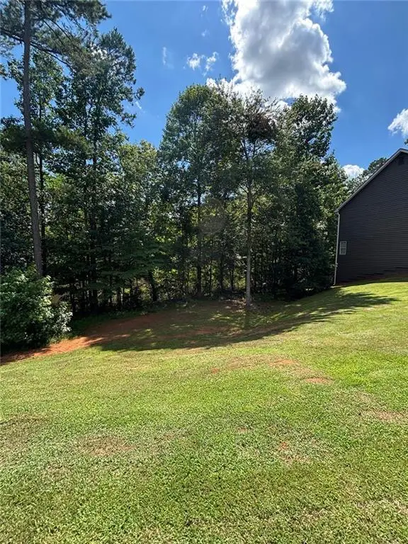 389 White Trillium Drive, Hoschton, GA 30548 - #3