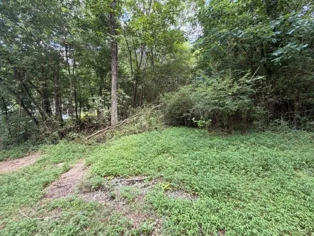 280 Nixon Road, Summerville, GA 30747 - #1