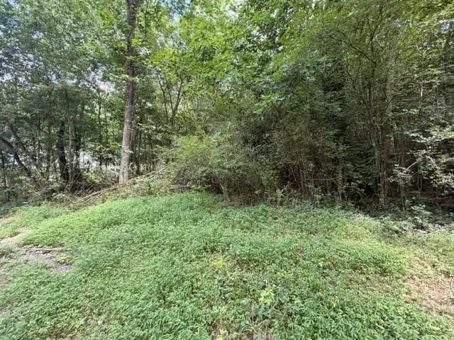 280 Nixon Road, Summerville, GA 30747 - #2