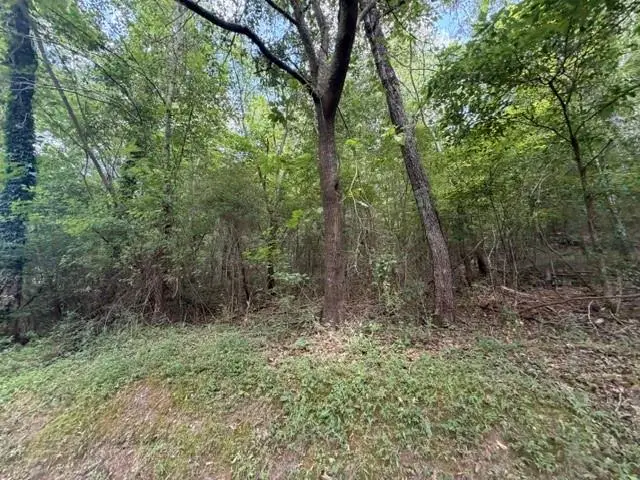 280 Nixon Road, Summerville, GA 30747 - #3