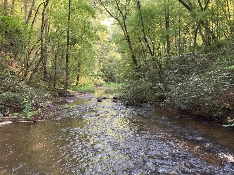 0 Dell Moore, Lot 3 Road, Marble Hill, GA 30148 - #2