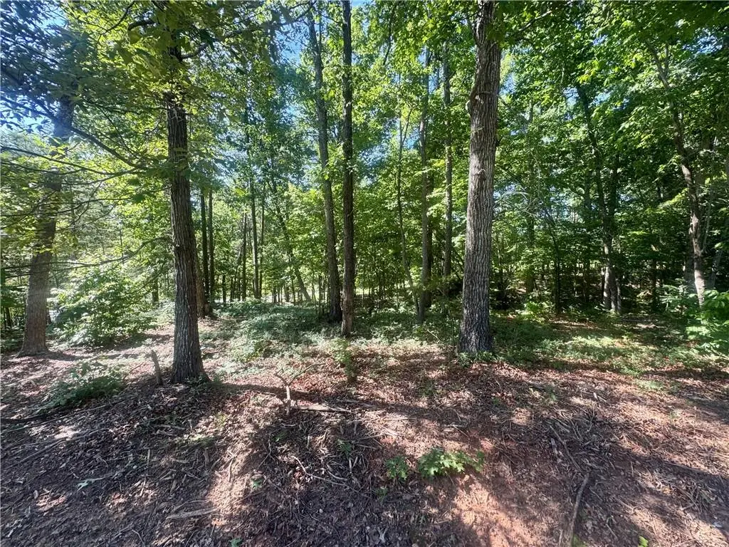0 Teel Mountain Dr, Cleveland, GA 30528 - #1