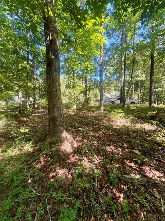0 Teel Mountain Dr, Cleveland, GA 30528 - #2