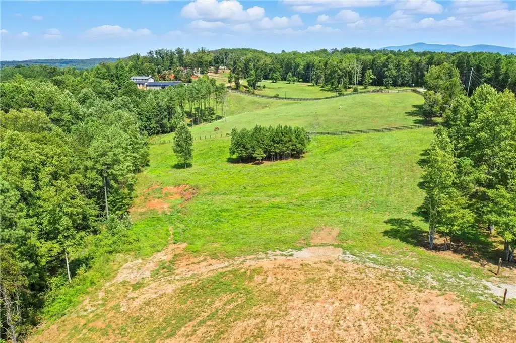 3511 Reavis Mountain #2 Road, Ball Ground, GA 30107 - #1