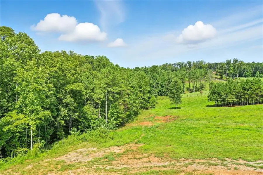 3511 Reavis Mountain #2 Road, Ball Ground, GA 30107 - #2