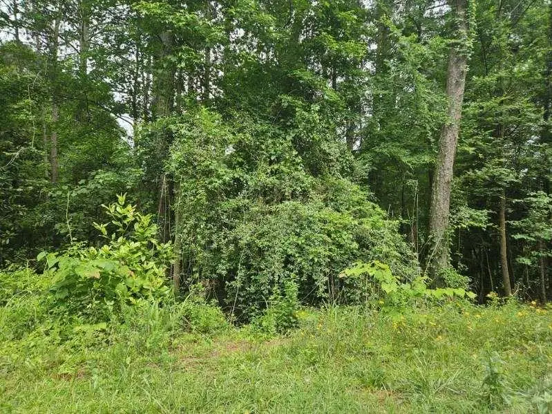 2435 Hi Roc Circle, Conyers, GA 30012 - #1