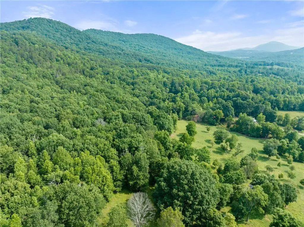 00 Freeman View Trail, Cleveland, GA 30528 - #1