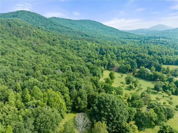 00 Freeman View Trail, Cleveland, GA 30528