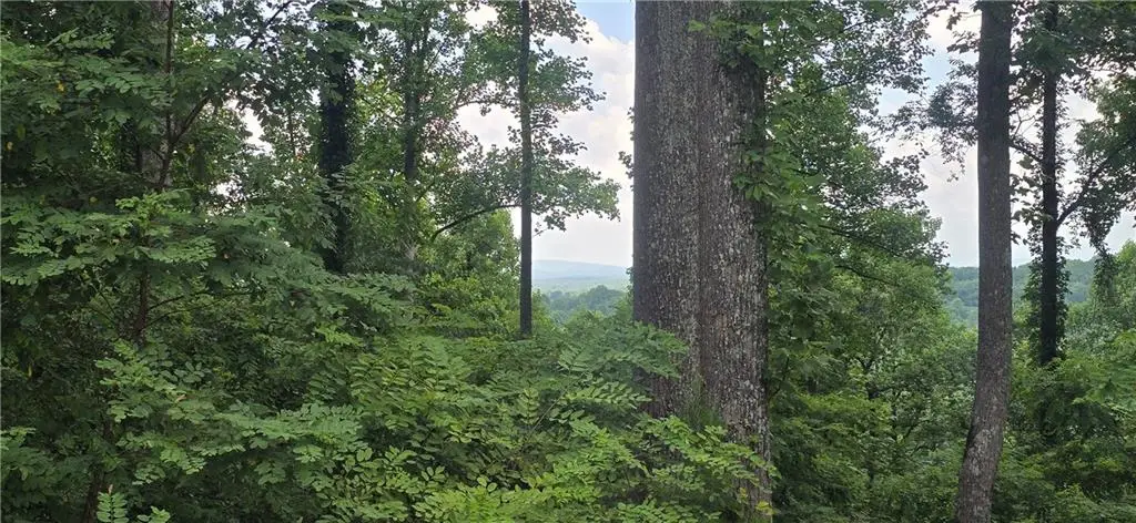 001 Windning Ridge, Blairsville, GA 30512 - #1