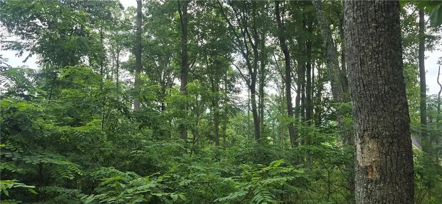 001 Windning Ridge, Blairsville, GA 30512 - #2
