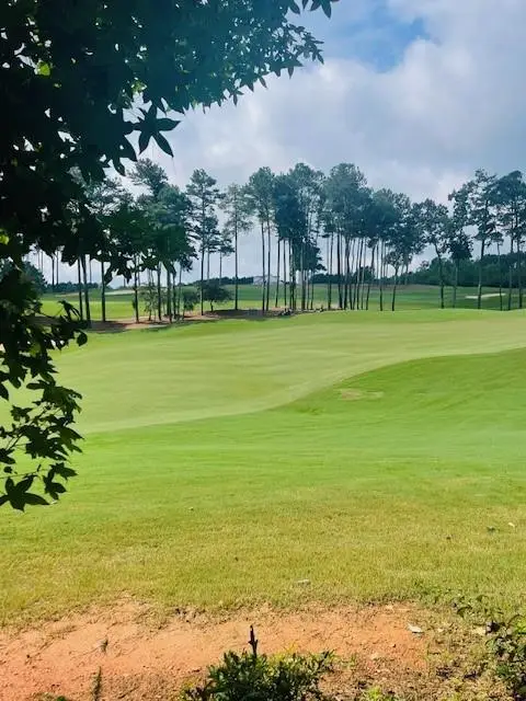 124 Hawks Court, Ball Ground, GA 30107