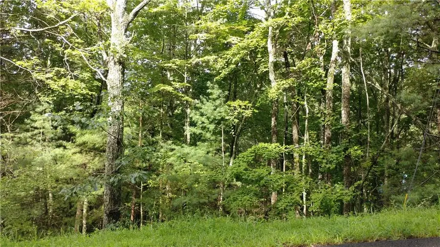 0 Goldmine Drive, Ellijay, GA 30536 - #2
