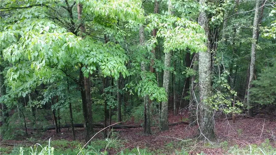 0 Goldmine Drive, Ellijay, GA 30536 - #3