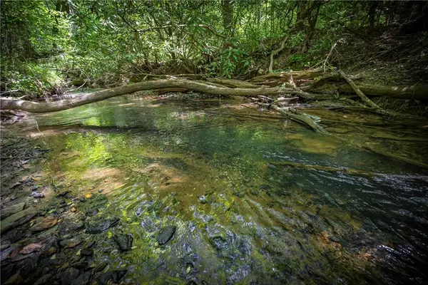 LT1-1A Jonica Gap Road, Mineral Bluff, GA 30559